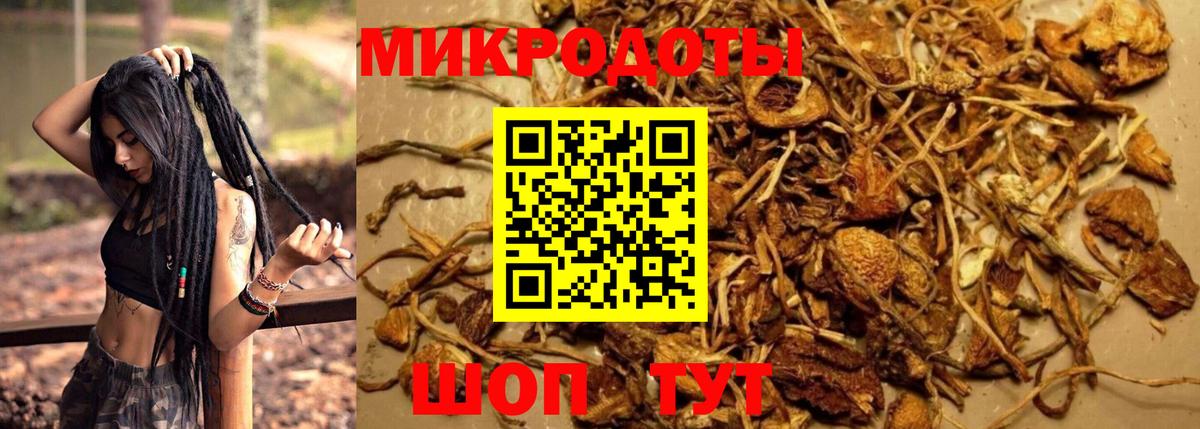 Галлюциногенные грибы GOLDEN TEACHER  Галлюциногенные грибы Cubensis  Вход с VPN  Зима 
