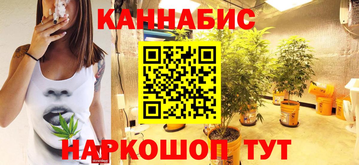 Бошки марихуана семена  Бошки Шишки LSD WEED  Бошки Шишки гибрид  Вход с VPN  Зима  Конопля OG Kush 